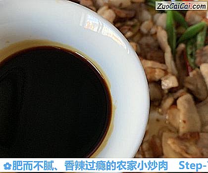 肥而不腻、香辣过瘾的农家小炒肉做法第七步骤