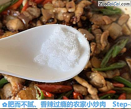 肥而不腻、香辣过瘾的农家小炒肉做法第八步骤