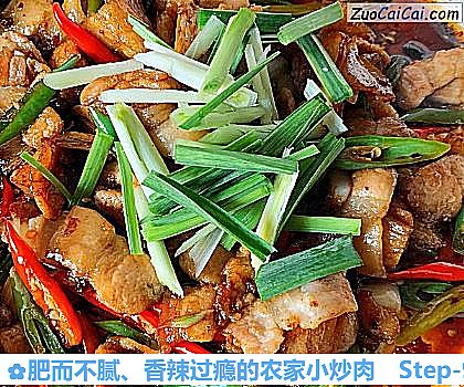 肥而不腻、香辣过瘾的农家小炒肉做法第九步骤