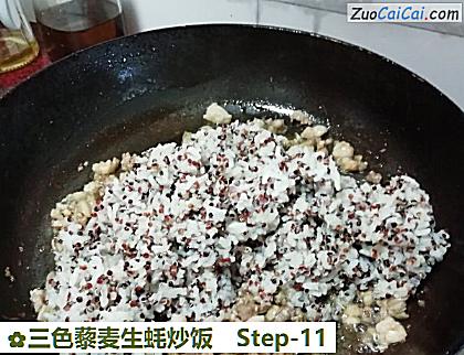 三色藜麦生蚝炒饭做法第十一步骤
