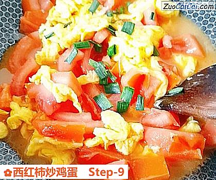 西红柿炒鸡蛋做法第九步骤