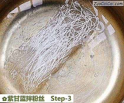紫甘蓝拌粉丝做法第三步骤