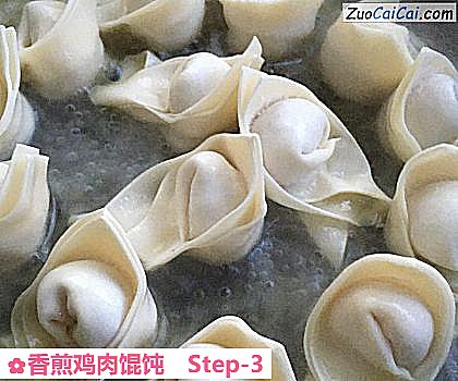 香煎鸡肉馄饨做法第三步骤
