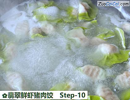 翡翠鲜虾猪肉饺做法第十步骤