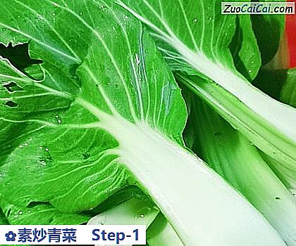 素炒青菜做法第一步骤