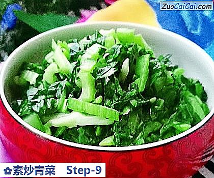 素炒青菜做法第九步骤
