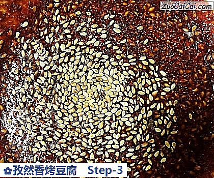 孜然香烤豆腐做法第三步骤