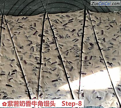 紫薯奶香牛角馒头做法第八步骤