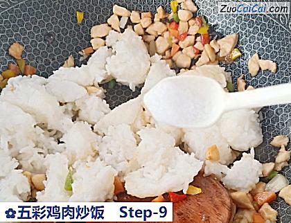 五彩鸡肉炒饭做法第九步骤
