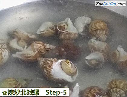 辣炒北蛾螺做法第五步骤