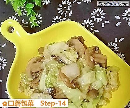口蘑包菜做法第十四步骤