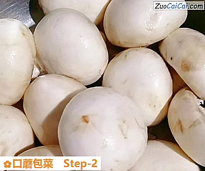 口蘑包菜做法第二步骤