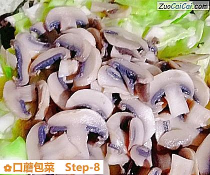 口蘑包菜做法第八步骤