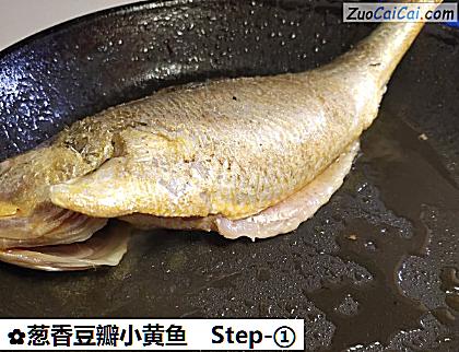 葱香豆瓣小黄鱼做法第一步骤