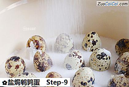 盐焗鹌鹑蛋做法第九步骤