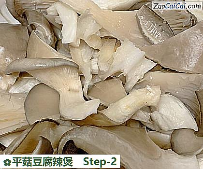 平菇豆腐辣煲做法第二步骤