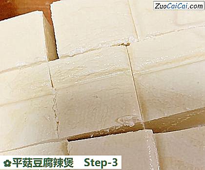 平菇豆腐辣煲做法第三步骤