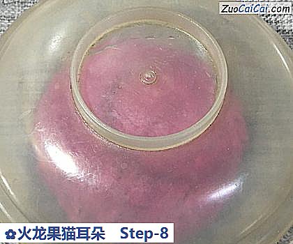 火龙果猫耳朵做法第八步骤