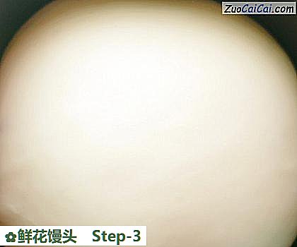 鲜花馒头做法第三步骤