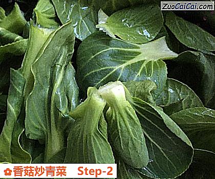 香菇炒青菜做法第二步骤