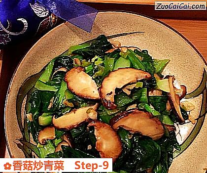 香菇炒青菜做法第九步骤