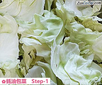 蚝油包菜做法第一步骤