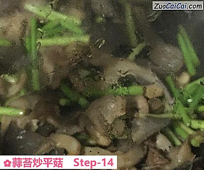 蒜苔炒平菇做法第十四步骤