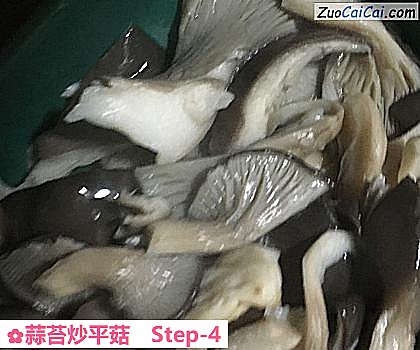 蒜苔炒平菇做法第四步骤