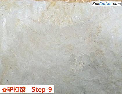 驴打滚做法第九步骤