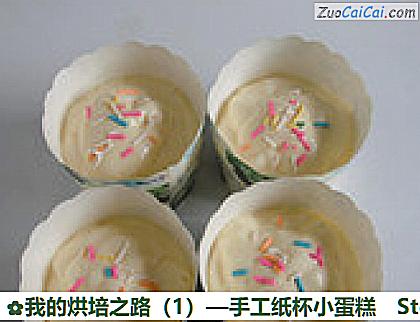 我的烘培之路—手工纸杯小蛋糕做法第十一步骤