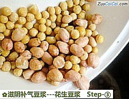 滋阴补气豆浆做法第三步骤