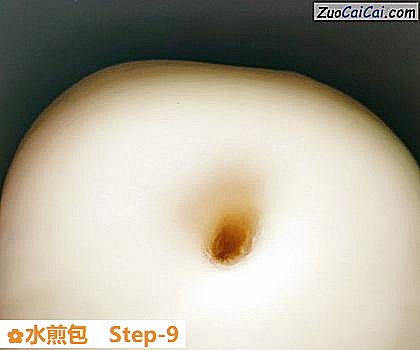 水煎包做法第九步骤