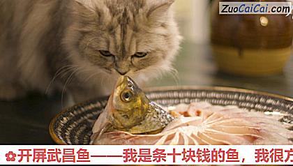 开屏武昌鱼做法第四步骤