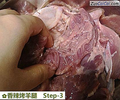 香辣烤羊腿做法第三步骤