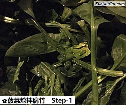 菠菜炝拌腐竹做法第一步骤