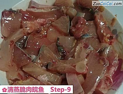 清蒸脆肉皖鱼做法第九步骤