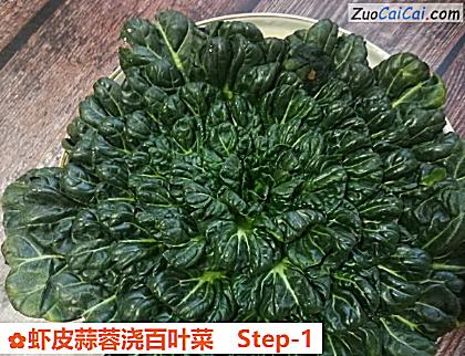 虾皮蒜蓉浇百叶菜做法第一步骤