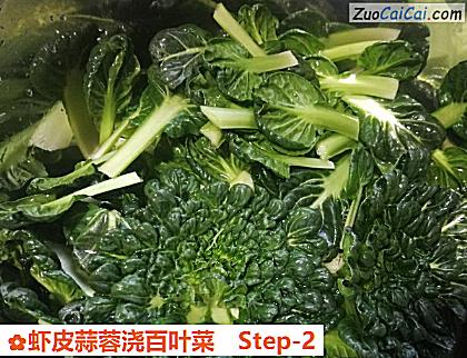 虾皮蒜蓉浇百叶菜做法第二步骤