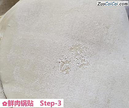 鲜肉锅贴做法第三步骤