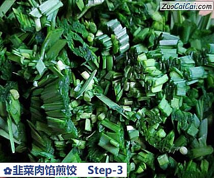 韭菜肉馅煎饺做法第三步骤