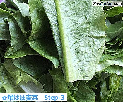 爆炒油麦菜做法第三步骤
