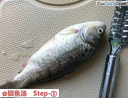 鲫鱼汤做法第二步骤