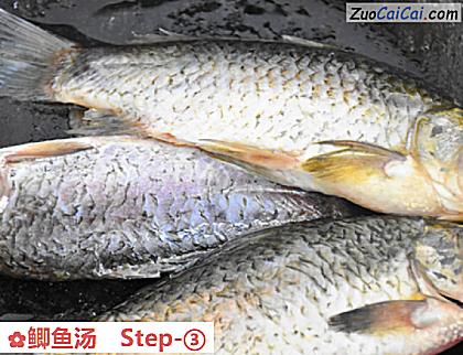 鲫鱼汤做法第三步骤