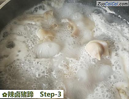 辣卤猪蹄做法第三步骤