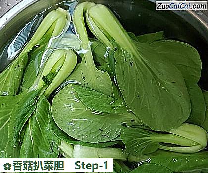 香菇扒菜胆做法第一步骤