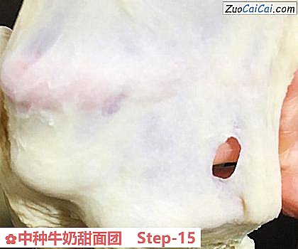 中种牛奶甜面团做法第十五步骤