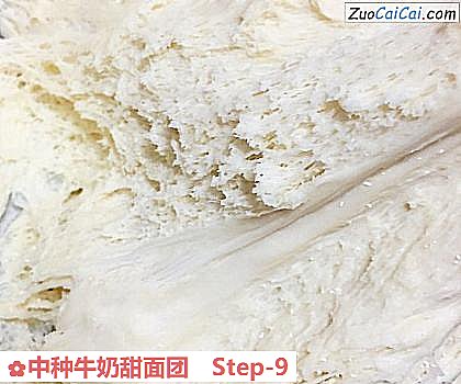 中种牛奶甜面团做法第九步骤