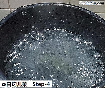 白灼儿菜做法第四步骤