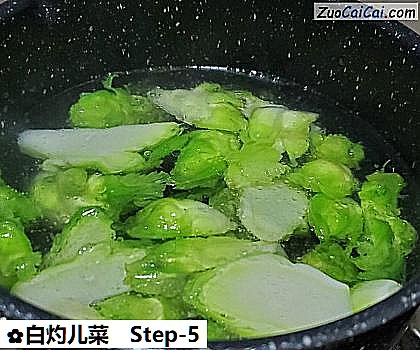 白灼儿菜做法第五步骤