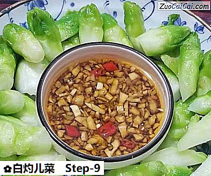 白灼儿菜做法第九步骤